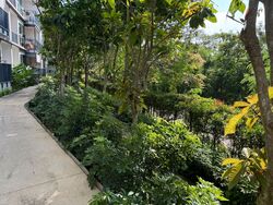 Kingsford Waterbay (D19), Apartment #561819171